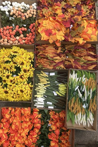 12x autumn bushes - autumn,