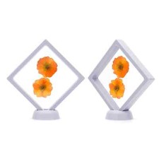 Floating Display Frame White