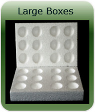 50 X 12 HOLE  LARGE POLYSTYRENE EGG BOXES HATCHING/INCUBATION CHICKEN
