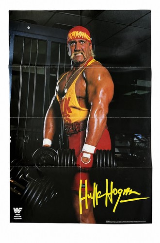 Vintage wwf hulk hogan - wwf,