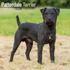 Patterdale Terrier 2026 Calendar  Square Wall Calendar  Dog Breed Gift  Plastic