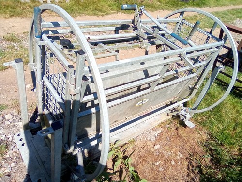 Sheep rollover crate - rollover,