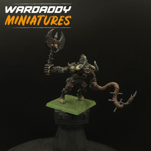 Pro painted warhammer fantasy - pro,