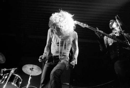 The who appeared - in, concert