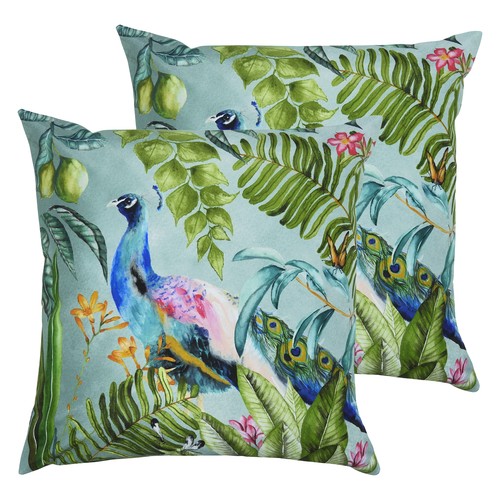 Evans lichfield peacock - lichfield,