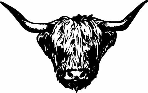 Highland cow bull head vinyl - highland,