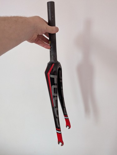 Focus cayo carbon - cayo,