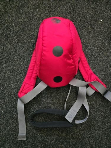 Little life ladybird toddler