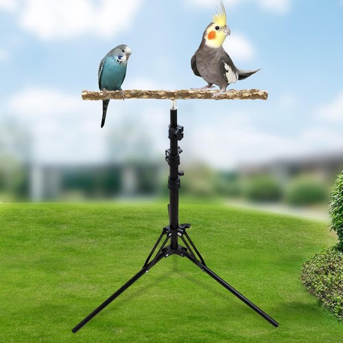 Adjustable bird perch - bird,
