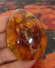 Decorative scorpion inclusion - decorative,