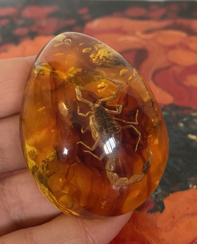 Decorative scorpion inclusion - decorative,