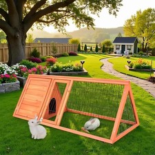 Rabbit Hutch & Chicken Coop