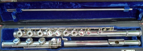 Solid silver commercial verne - silver,