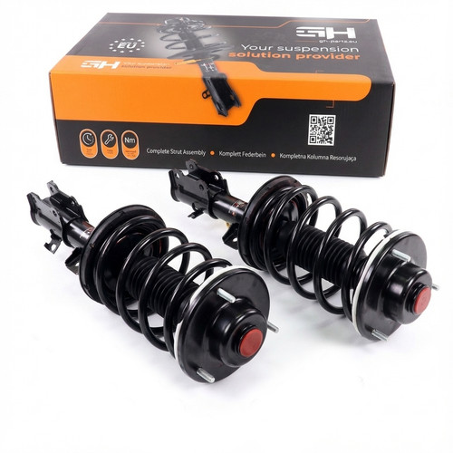 Complete struts assembly - 2x,