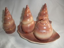 Vintage carlton ware shell - vintage,