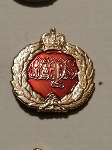 Queens bays regiment lapel - queens, pin