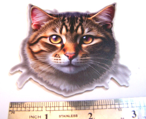 Tabby cat face - hard, acrylic