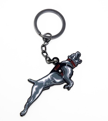 Cane corso mastiff dog - cane,