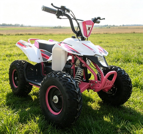 Beast 800w electric mini - beast,