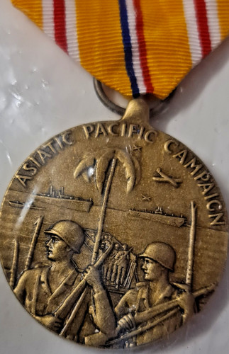 Asiatic pacific campaign medal - asiatic,