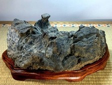 Suiseki Viewing Natural Stone