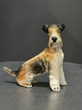 Fox Terrier Airedale Dog