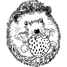 'Baby Cute HedgeHog' Unmounted
