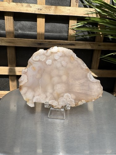 Flower agate raw polished - flower,