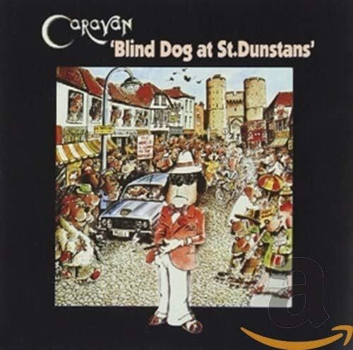 Blind dog dunstans - dog,