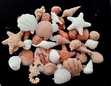 Handmade Edible Fondant Seashells. Cake Toppers. Multiple Colours and Quantities