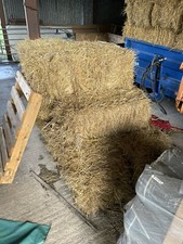 small hay bales, 100 available