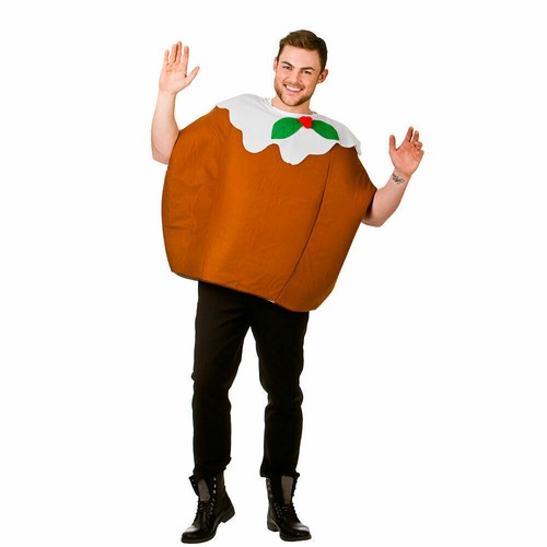 Christmas pudding costume - christmas,