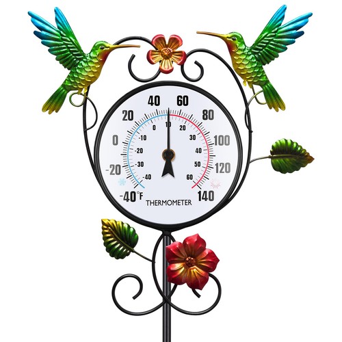 Hummingbird outdoor - hummingbird,