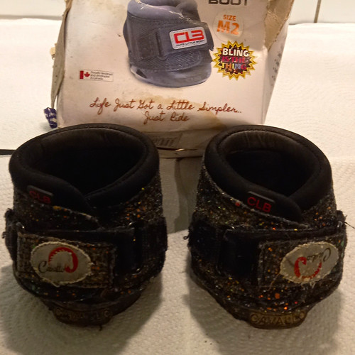 One pair cavallo - pair, of