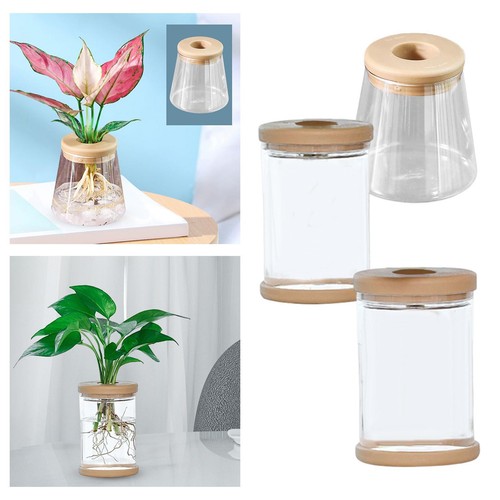 Modern transparent flower - modern, vase