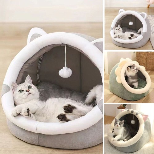 Semi enclosed dome dog warm - semi,