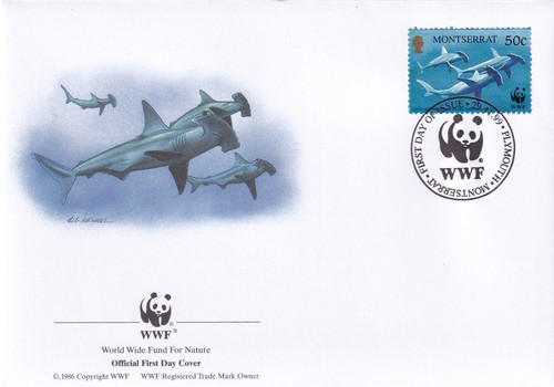 Hammerhead shark wwf - hammerhead,