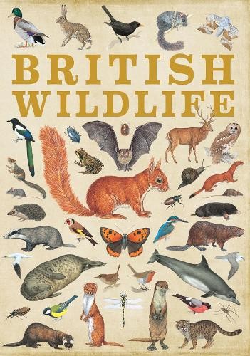 British wildlife marveolous - british, wildlife: