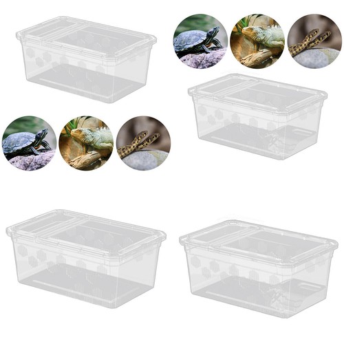 Reptile feeding box - feeding,