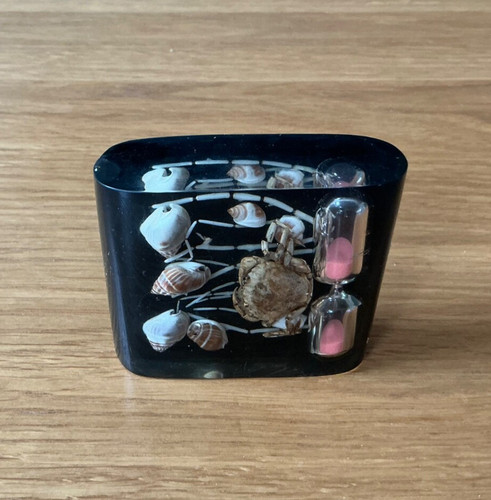 Vintage egg timer seashells - timer,