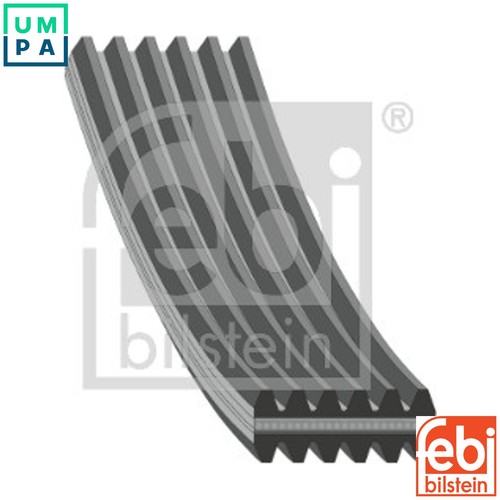 Vribbed belt 34460 - vribbed,