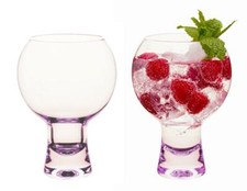 Wrenbury Set of 2 Gin Glasses