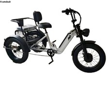 20-inch electric Trike 48V
