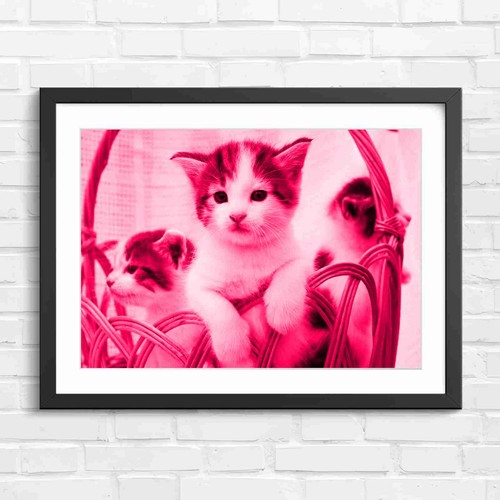 Adorable kittens wicker - adorable,
