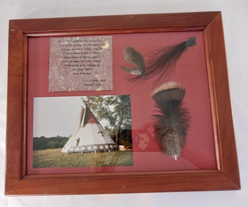 Chief flying hawk - chief, oglala