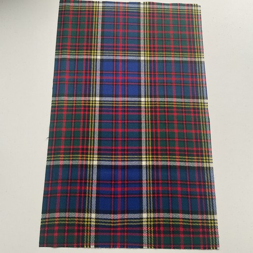 Anderson modern tartan medium - tartan,