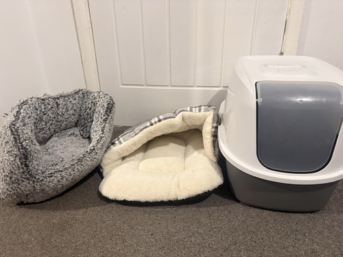 Cat bundle - cat,