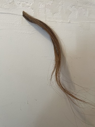Natural chestnut horse hair - natural,