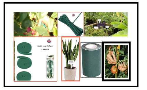Hook loop plant - plant, tape