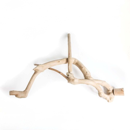 Java multi perch for - perch, parrots